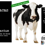VACAS - cía Quantum