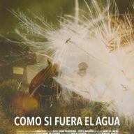 Como Si Fuera El Agua