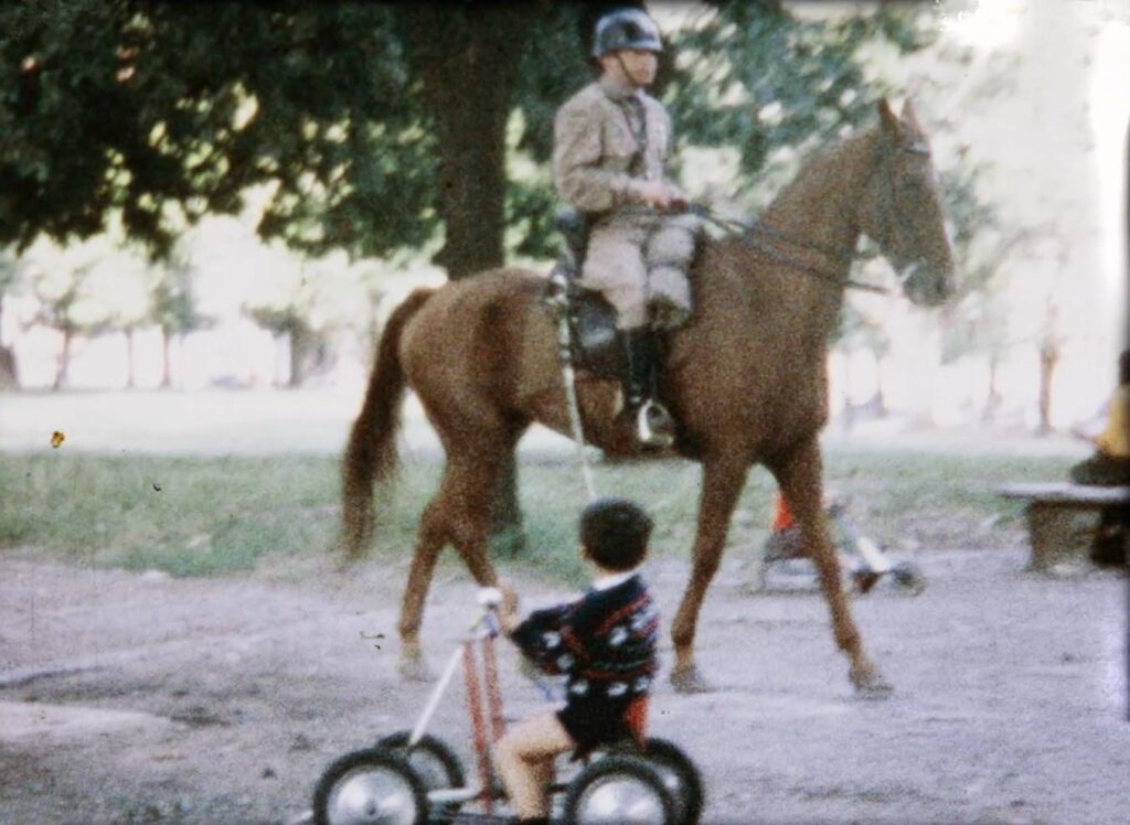 Foto de Sapos -momentos de infancia en dictadura-