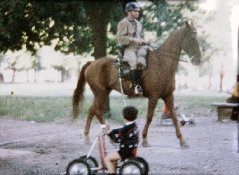 Sapos -momentos de infancia en dictadura-