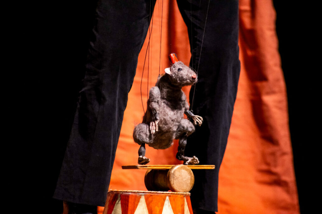 Imagen de El Show de Simón